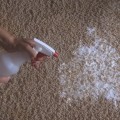 How can I clean my Carpet without a Machine