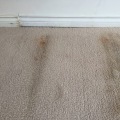 Can carpet cleaning cause mold?