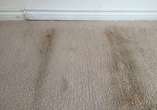 Can carpet cleaning cause mold?