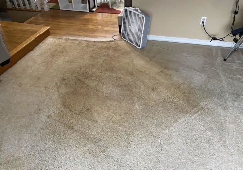 Is it cheaper to clean your own carpet?